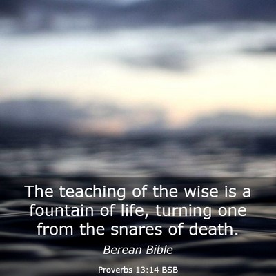Picture 03 - Proverbs 13:14 BSB - The teaching of the wise is a fountain of life, - Bible Verse Picture