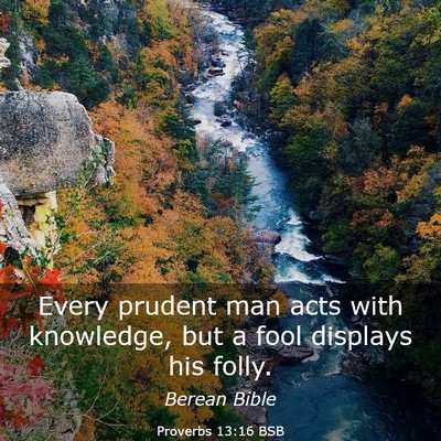 Picture 03 - Proverbs 13:16 BSB - Every prudent man acts with knowledge, but a fool - Bible Verse Picture