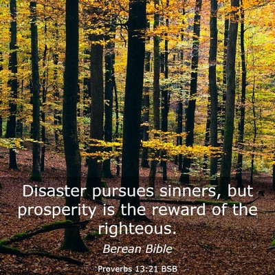 Picture 03 - Proverbs 13:21 BSB - Disaster pursues sinners, but prosperity is the - Bible Verse Picture