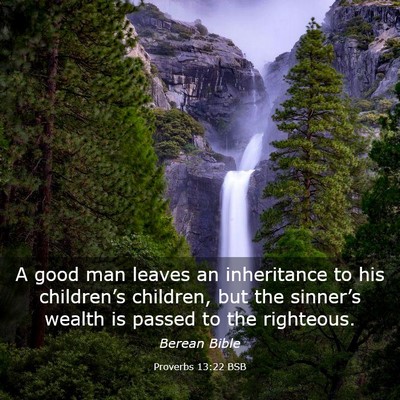 Picture 03 - Proverbs 13:22 BSB - A good man leaves an inheritance to his - Bible Verse Picture