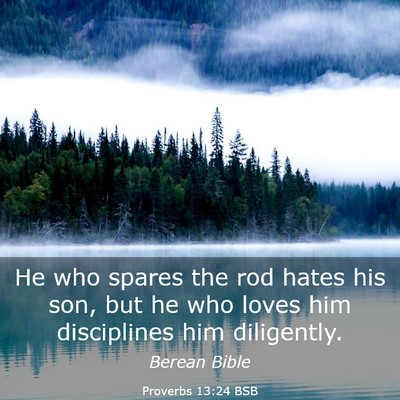 Picture 03 - Proverbs 13:24 BSB - He who spares the rod hates his son, but he who - Bible Verse Picture