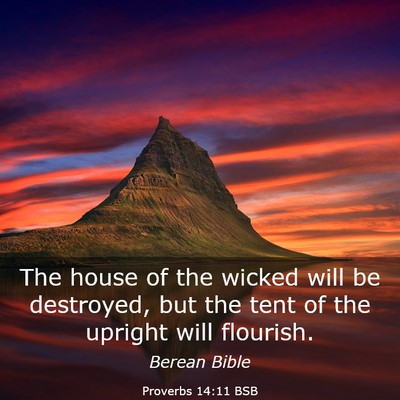 Picture 03 - Proverbs 14:11 BSB - The house of the wicked will be destroyed, but - Bible Verse Picture