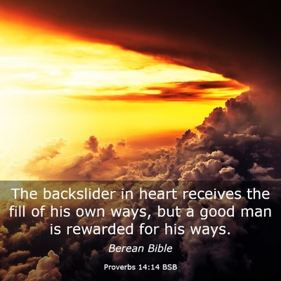 Picture 03 - Proverbs 14:14 BSB - The backslider in heart receives the fill of his - Bible Verse Picture
