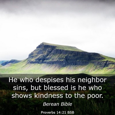 Picture 03 - Proverbs 14:21 BSB - He who despises his neighbor sins, but blessed is - Bible Verse Picture