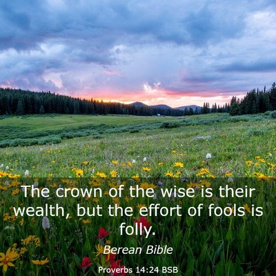 Picture 03 - Proverbs 14:24 BSB - The crown of the wise is their wealth, but the - Bible Verse Picture