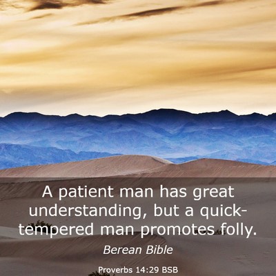 Picture 03 - Proverbs 14:29 BSB - A patient man has great understanding, but a - Bible Verse Picture