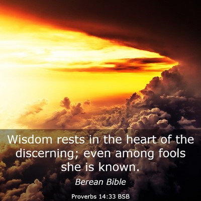 Picture 03 - Proverbs 14:33 BSB - Wisdom rests in the heart of the discerning; even - Bible Verse Picture