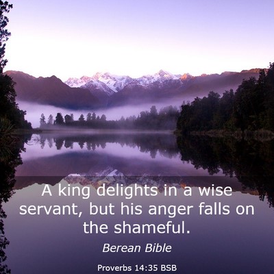 Picture 03 - Proverbs 14:35 BSB - A king delights in a wise servant, but his anger - Bible Verse Picture