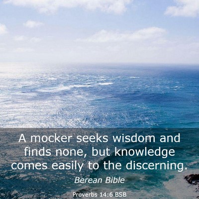 Picture 03 - Proverbs 14:6 BSB - A mocker seeks wisdom and finds none, but - Bible Verse Picture