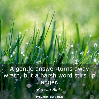 Picture 03 - Proverbs 15:1 BSB - A gentle answer turns away wrath, but a harsh - Bible Verse Picture