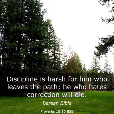 Picture 03 - Proverbs 15:10 BSB - Discipline is harsh for him who leaves the path; - Bible Verse Picture