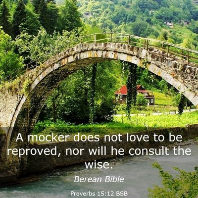 Picture 03 - Proverbs 15:12 BSB - A mocker does not love to be reproved, nor will - Bible Verse Picture