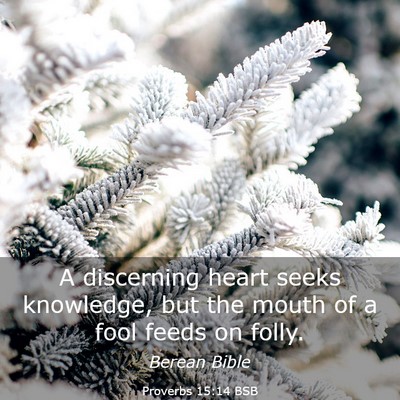 Picture 03 - Proverbs 15:14 BSB - A discerning heart seeks knowledge, but the mouth - Bible Verse Picture