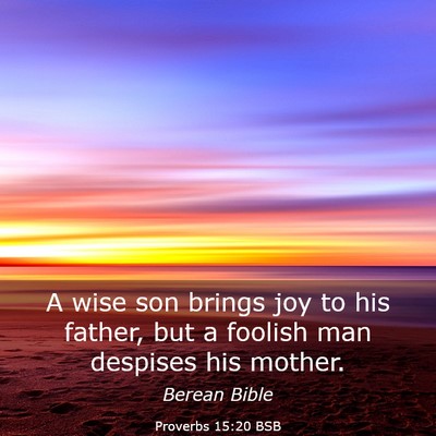 Picture 03 - Proverbs 15:20 BSB - A wise son brings joy to his father, but a - Bible Verse Picture
