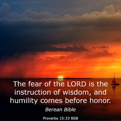 Picture 03 - Proverbs 15:33 BSB - The fear of the LORD is the instruction of - Bible Verse Picture