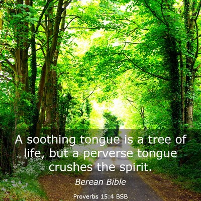 Picture 03 - Proverbs 15:4 BSB - A soothing tongue is a tree of life, but a - Bible Verse Picture