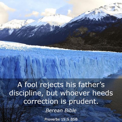 Picture 03 - Proverbs 15:5 BSB - A fool rejects his father’s discipline, but - Bible Verse Picture
