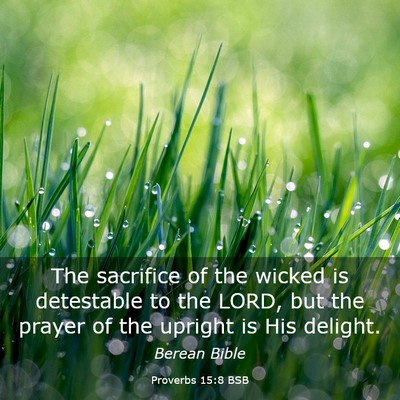 Picture 03 - Proverbs 15:8 BSB - The sacrifice of the wicked is detestable to the - Bible Verse Picture