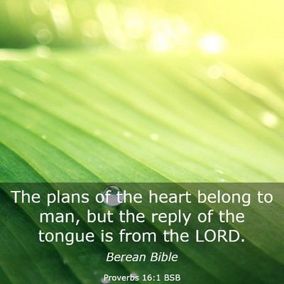 Picture 03 - Proverbs 16:1 BSB - The plans of the heart belong to man, but the - Bible Verse Picture