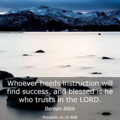 Picture 03 - Proverbs 16:20 BSB - Whoever heeds instruction will find success, and - Bible Verse Picture