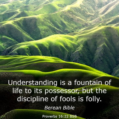 Picture 03 - Proverbs 16:22 BSB - Understanding is a fountain of life to its - Bible Verse Picture