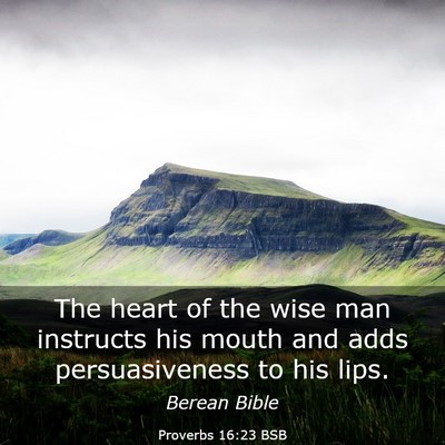 Picture 03 - Proverbs 16:23 BSB - The heart of the wise man instructs his mouth and - Bible Verse Picture