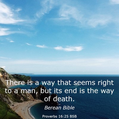 Picture 03 - Proverbs 16:25 BSB - There is a way that seems right to a man, but its - Bible Verse Picture