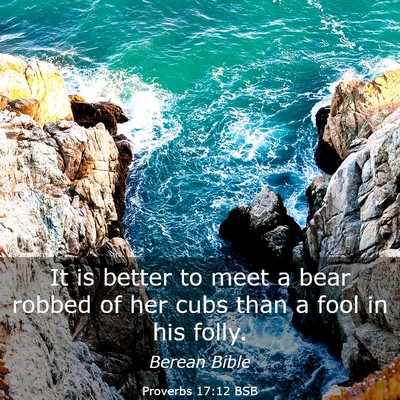 Picture 03 - Proverbs 17:12 BSB - It is better to meet a bear robbed of her cubs - Bible Verse Picture