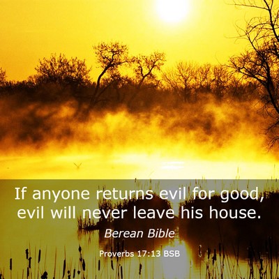 Picture 03 - Proverbs 17:13 BSB - If anyone returns evil for good, evil will never - Bible Verse Picture