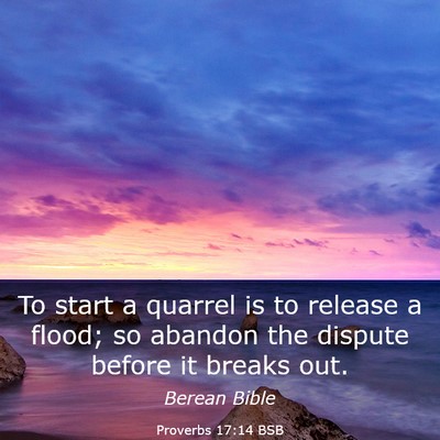 Picture 03 - Proverbs 17:14 BSB - To start a quarrel is to release a flood; so - Bible Verse Picture