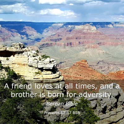 Picture 03 - Proverbs 17:17 BSB - A friend loves at all times, and a brother is - Bible Verse Picture