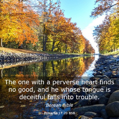 Picture 03 - Proverbs 17:20 BSB - The one with a perverse heart finds no good, and - Bible Verse Picture