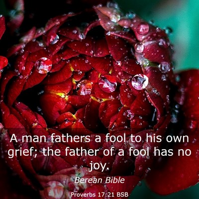 Picture 03 - Proverbs 17:21 BSB - A man fathers a fool to his own grief; the father - Bible Verse Picture