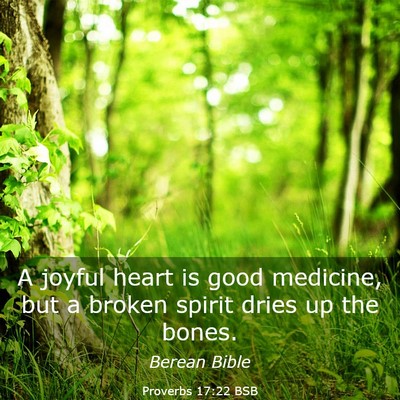 Picture 03 - Proverbs 17:22 BSB - A joyful heart is good medicine, but a broken - Bible Verse Picture
