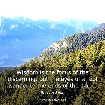 Picture 03 - Proverbs 17:24 BSB - Wisdom is the focus of the discerning, but the - Bible Verse Picture