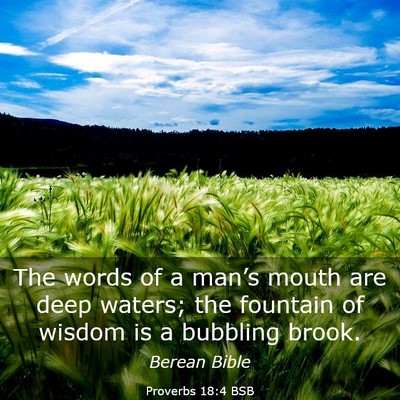 Picture 03 - Proverbs 18:4 BSB - The words of a man’s mouth are deep waters; the - Bible Verse Picture