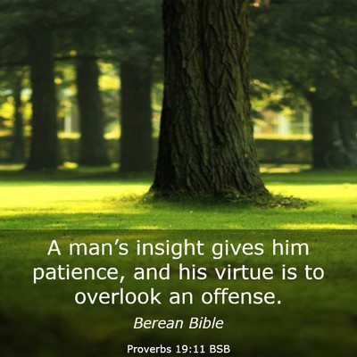 Picture 03 - Proverbs 19:11 BSB - A man’s insight gives him patience, and his - Bible Verse Picture