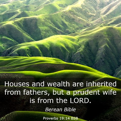 Picture 03 - Proverbs 19:14 BSB - Houses and wealth are inherited from fathers, but - Bible Verse Picture