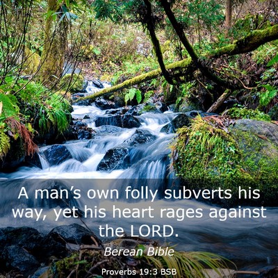 Picture 03 - Proverbs 19:3 BSB - A man’s own folly subverts his way, yet his - Bible Verse Picture