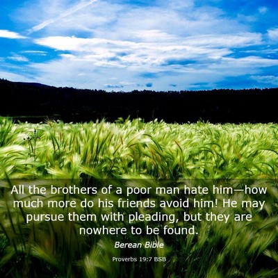 Picture 03 - Proverbs 19:7 BSB - All the brothers of a poor man hate him—how - Bible Verse Picture