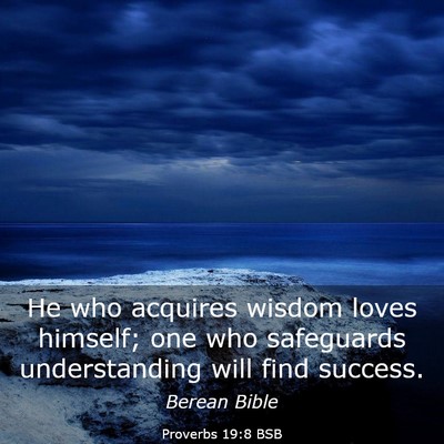 Picture 03 - Proverbs 19:8 BSB - He who acquires wisdom loves himself; one who - Bible Verse Picture