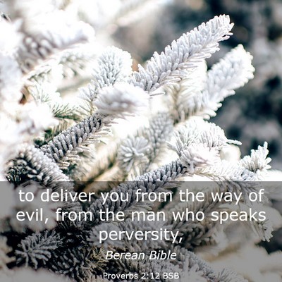 Picture 03 - Proverbs 2:12 BSB - to deliver you from the way of evil, from the man - Bible Verse Picture
