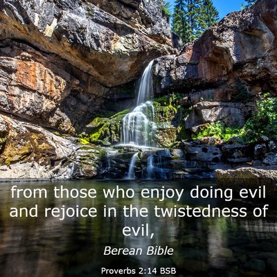 Picture 03 - Proverbs 2:14 BSB - from those who enjoy doing evil and rejoice in - Bible Verse Picture