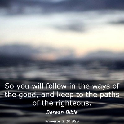 Picture 03 - Proverbs 2:20 BSB - So you will follow in the ways of the good, and - Bible Verse Picture