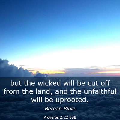 Picture 03 - Proverbs 2:22 BSB - but the wicked will be cut off from the land, and - Bible Verse Picture