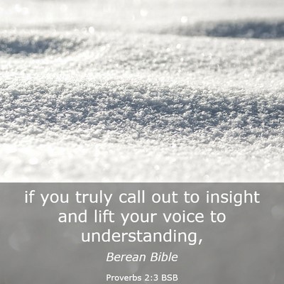 Picture 03 - Proverbs 2:3 BSB - if you truly call out to insight and lift your - Bible Verse Picture