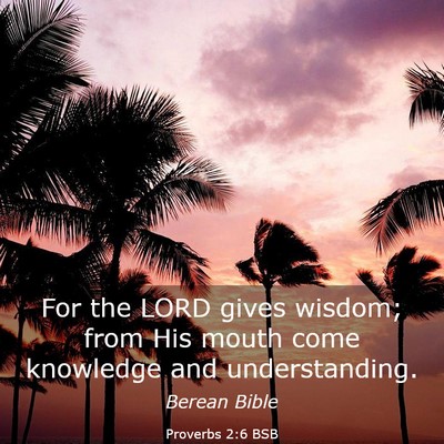 Picture 03 - Proverbs 2:6 BSB - For the LORD gives wisdom; from His mouth come - Bible Verse Picture