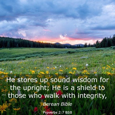 Picture 03 - Proverbs 2:7 BSB - He stores up sound wisdom for the upright; He is - Bible Verse Picture