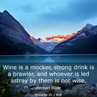 Picture 03 - Proverbs 20:1 BSB - Wine is a mocker, strong drink is a brawler, and - Bible Verse Picture