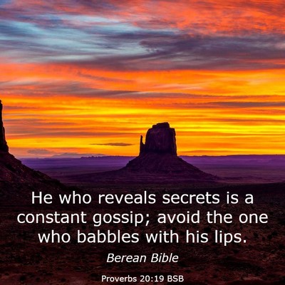 Picture 03 - Proverbs 20:19 BSB - He who reveals secrets is a constant gossip; - Bible Verse Picture
